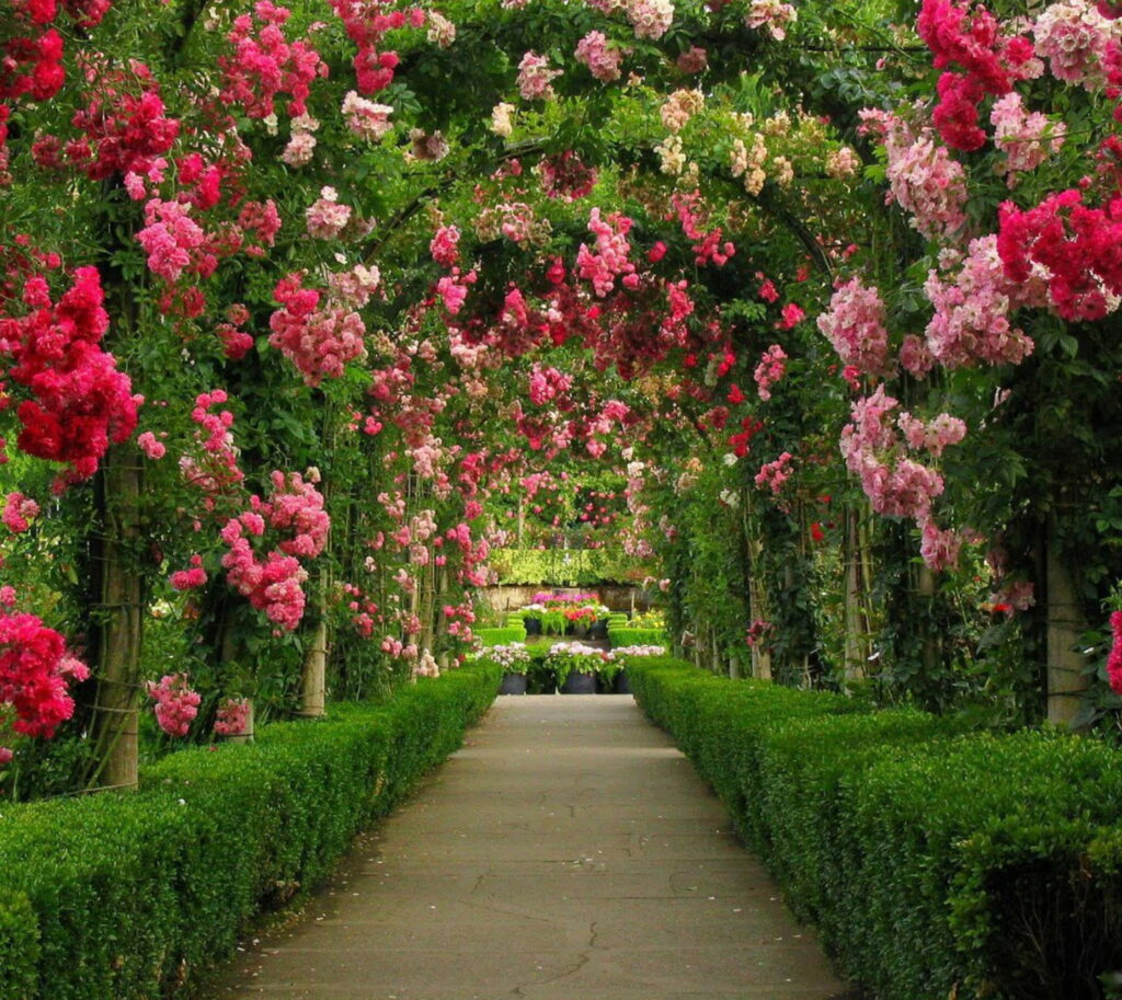 Blooming Arboreal Passage: A Captivating HD Garden Background Wallpaper