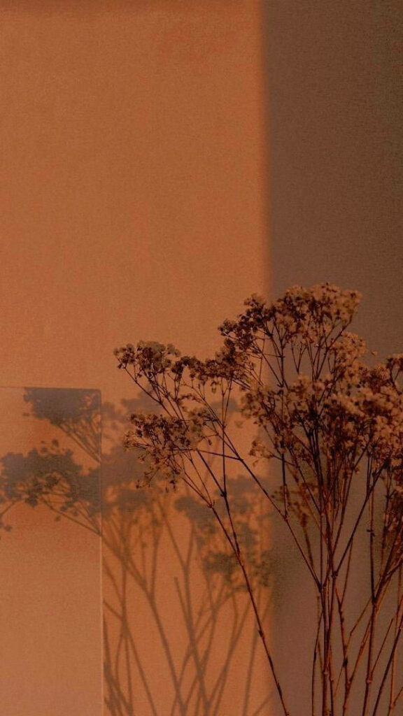 Sunset Glow: Captivating Small Flowers Blossoming on a Aesthetic Brown Canvas Wallpaper