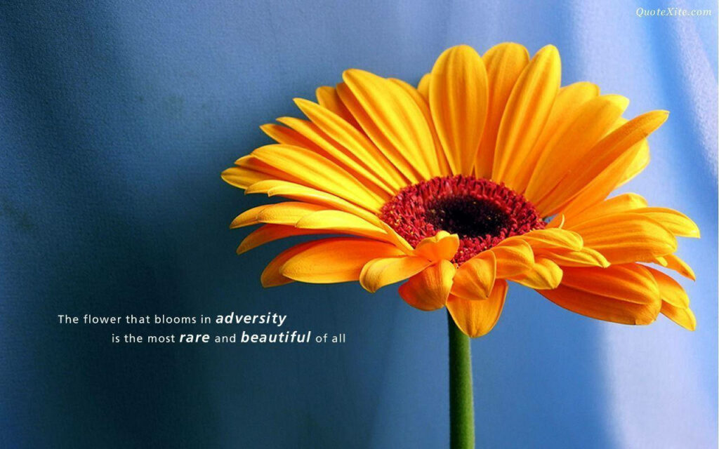 A Golden Sunflower Blooming through Adversity: Inspiring Quotes on a Blurry Aesthetic Wallpaper