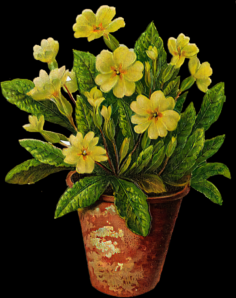 Blooming Yellow Flowers in Rustic Clay Pot - Vibrant Natural Background Wallpaper