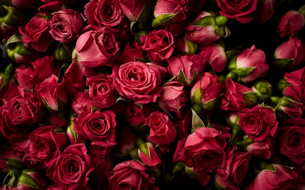 Elegant Bouquet: A Captivating Floral Delight in Pink Roses and Lush Buds Wallpaper