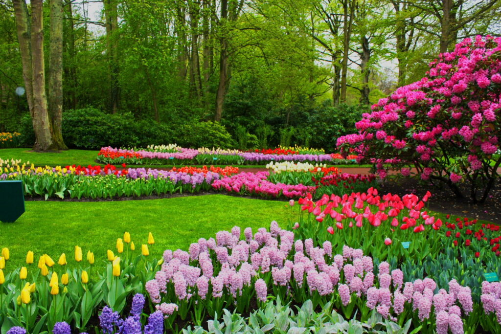 Blossoming Haven: Vibrant Nature's Tapestry in a Spring Park Garden - A Captivating 4K Wallpaper Background