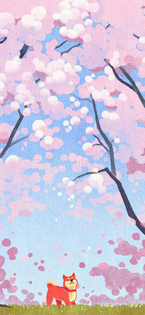 Cherry Blossom Delight: A Dog's Cozy Springtime Stroll – iPhone Wallpaper
