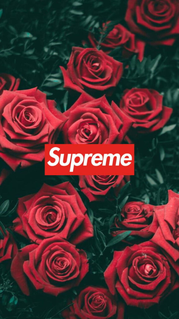 Vibrant Red Rose Bouquet Surrounds Iconic Supreme Logo in Captivating Frame Wallpaper