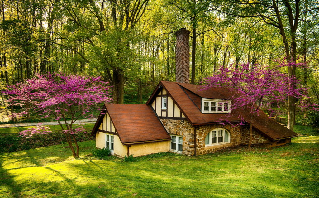 Spring Serenity: Captivating Forest Dwelling amidst Blossoming Nature and Serene Landscape Wallpaper