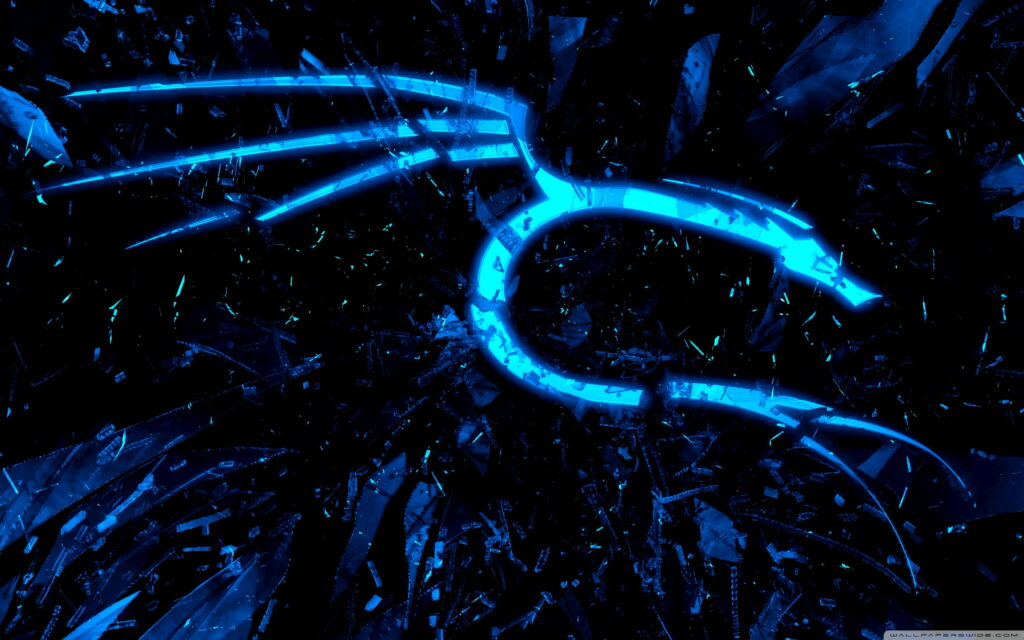 Dragon's Lair in the Cyber Realm: Kali Linux NetHunter Unleashed Wallpaper