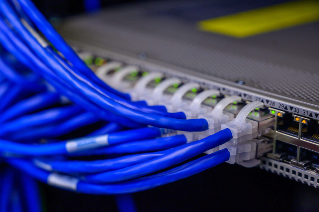 Close-up of blue Ethernet cables connected to network switch tech data connectivity wallpaper background