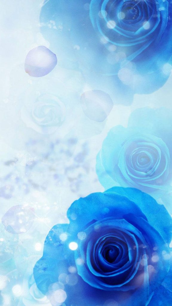 Blue roses wallpaper for iPhone with soft ethereal petals and dreamy bokeh lighting background