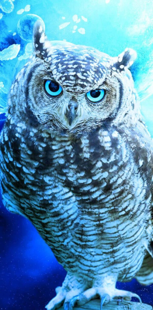 Blue Owl Wallpaper: Mystical Background & Intricate Feather Patterns