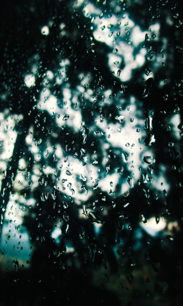Textured Rain-Drop Wallpaper: Blurry Outdoor View Through Window