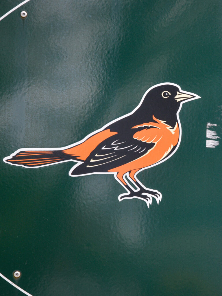Stylized Bird Illustration on Dark Green Background - Bold & Vibrant Wallpaper