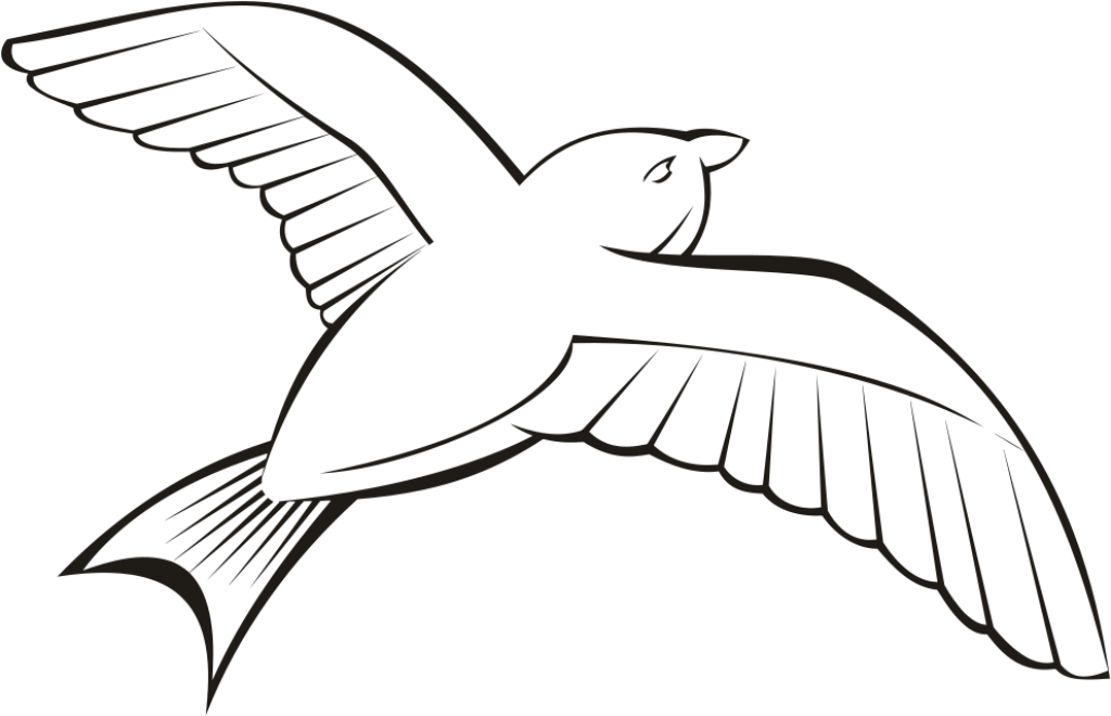 Bold Bird Silhouette Wallpaper: Soaring Freedom & Graceful Movement