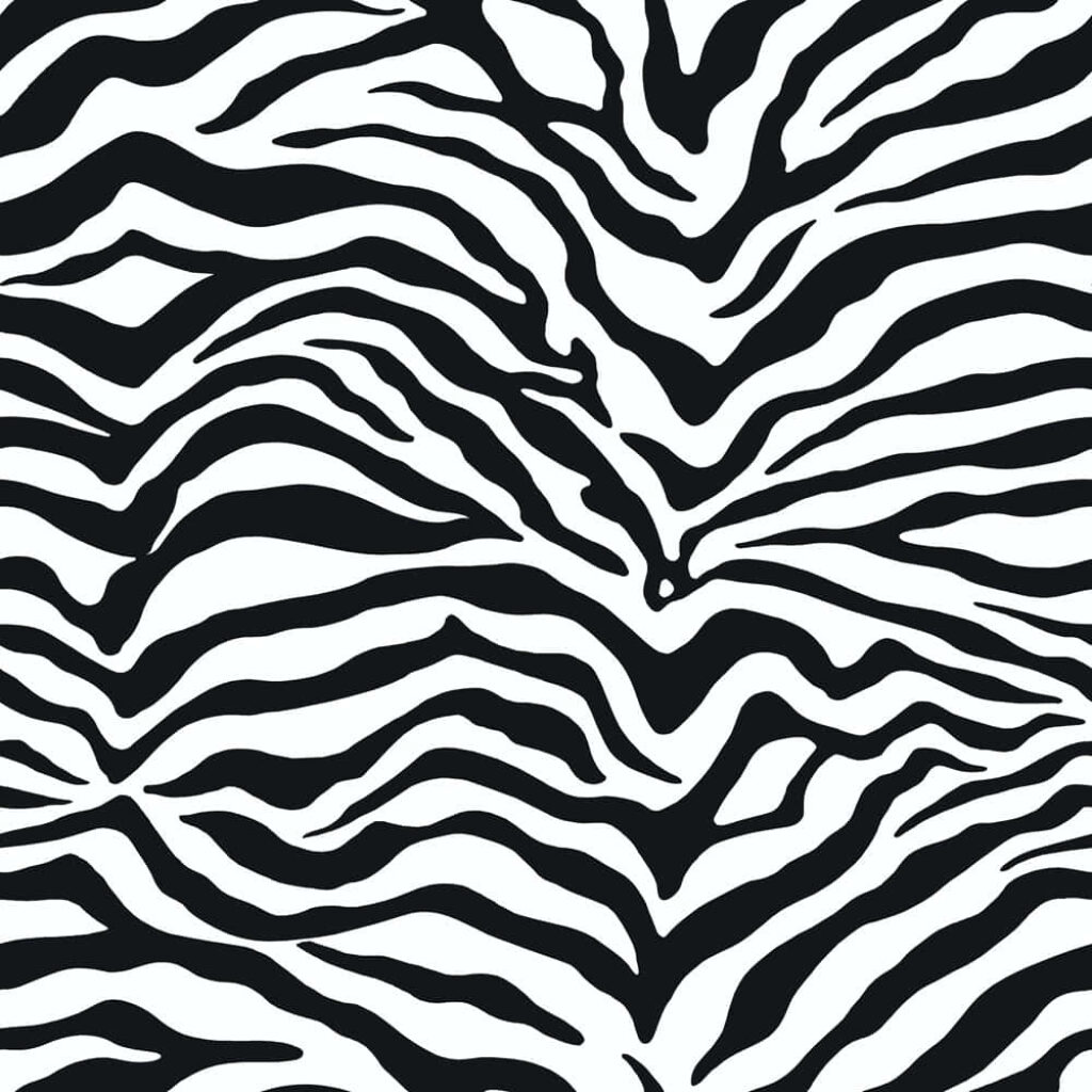Bold Zebra Print Wallpaper: Classic Black & White Background Design