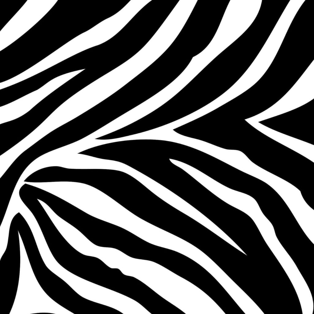 Bold Black and White Zebra Print Wallpaper for Wild Style Decor