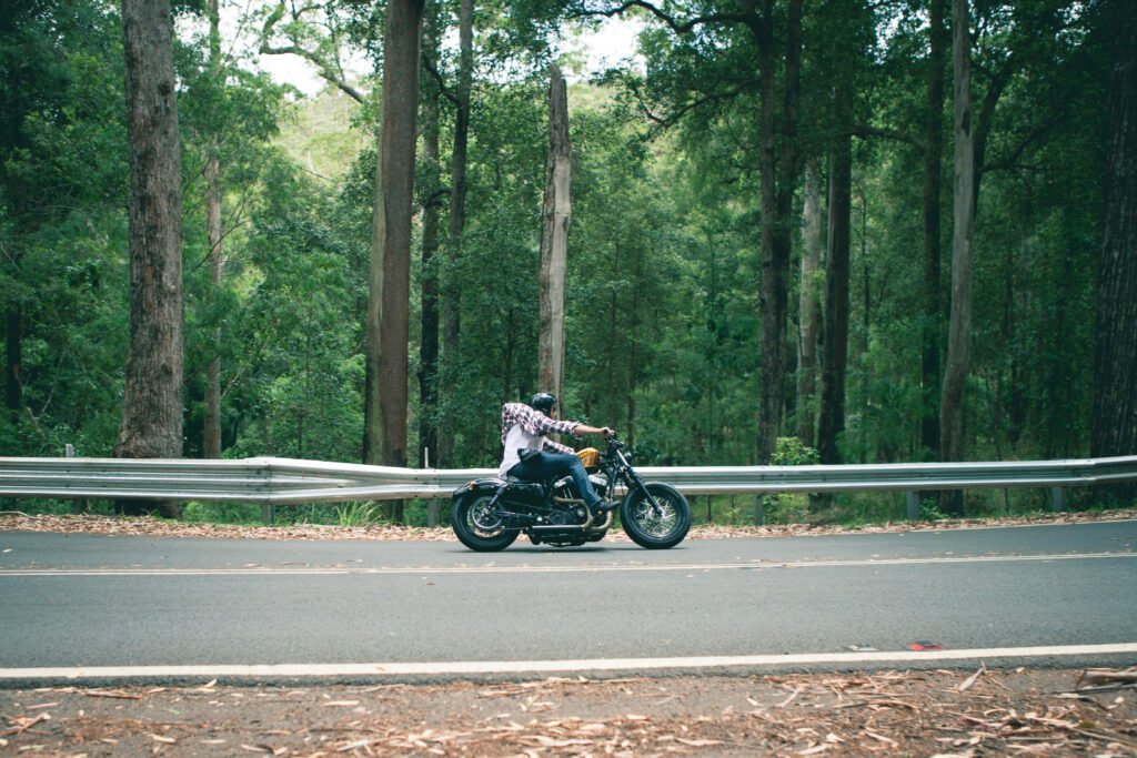 Bold Harley Davidson Wallpaper: Adventure on a Winding Forest Road