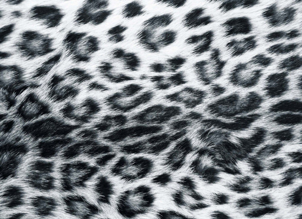 Bold Leopard Print Wallpaper: Wild Elegance Close-Up Design