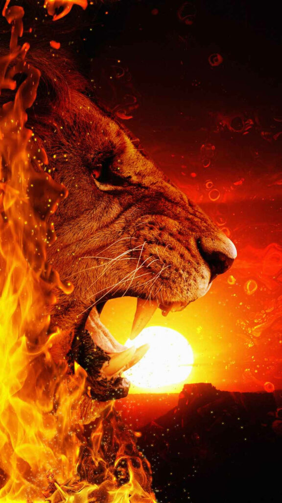 Bold Roaring Lion Wallpaper: Fiery Sunset & Vibrant Flames for iPhone