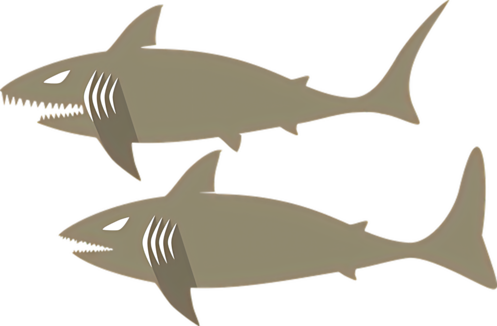 Bold Shark Wallpaper: Menacing Illustration of Fierce Sea Predators