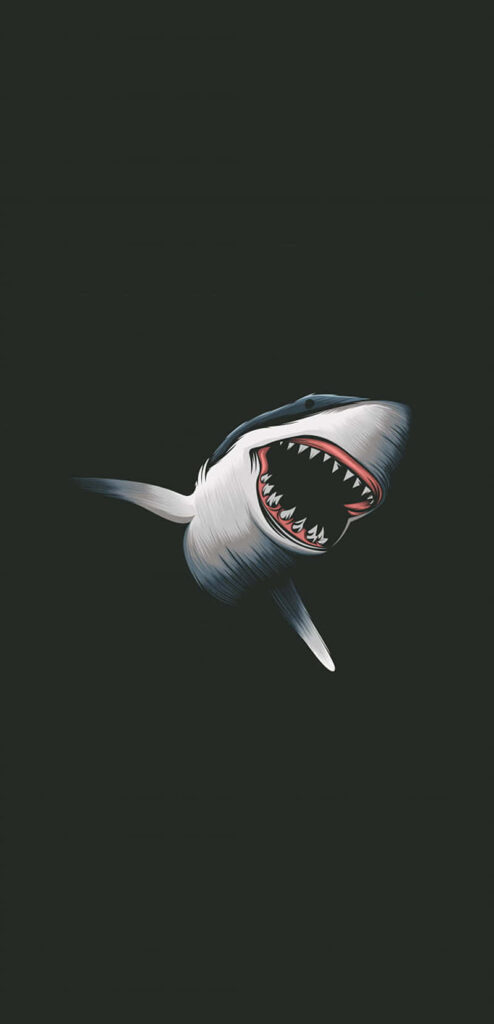 Bold Shark Wallpaper: Striking Illustration with Sharp Teeth
