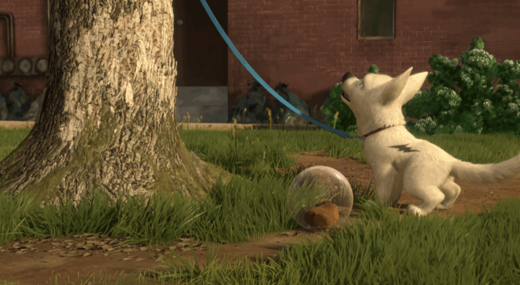 Bolt the white dog with lightning mark and Rhino hamster in ball in lush yard wallpaper
