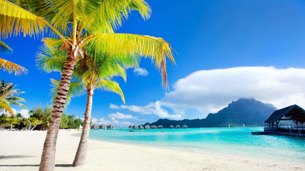 Bora Bora beach with white sand turquoise water palm trees cozy hut and lush green mountains Wallpaper
