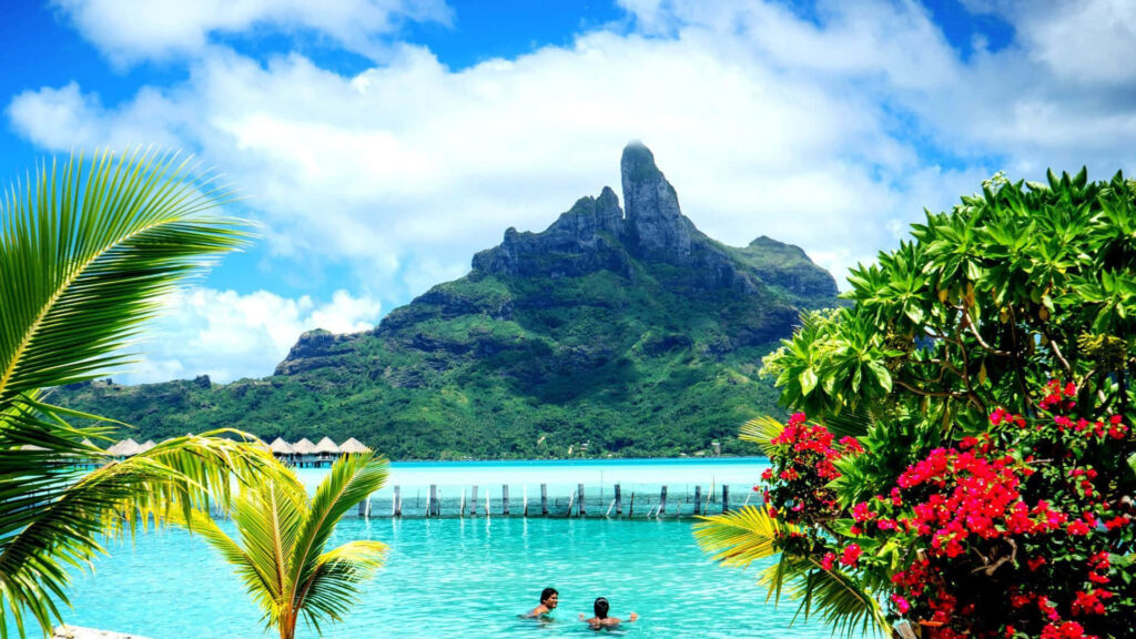 Vibrant Bora Bora wallpaper with turquoise waters lush tropical greenery and Mount Otemanu silhouette