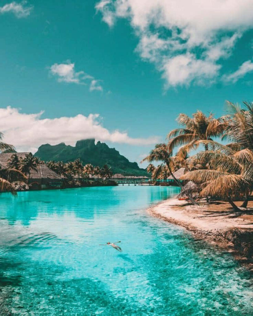 Bora Bora tropical paradise wallpaper with turquoise waters palm trees and mountain views serene escape