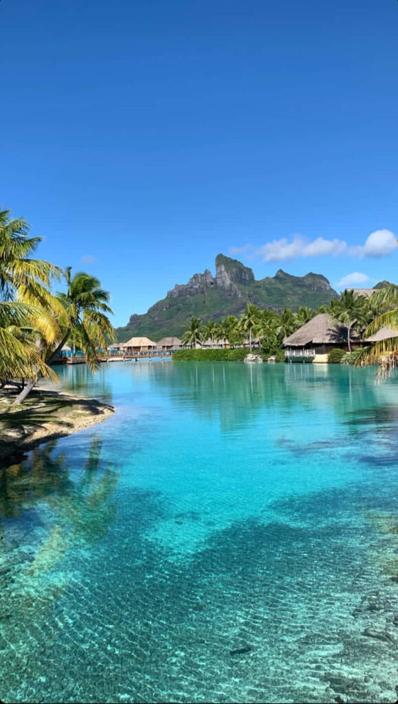 Bora Bora wallpaper with turquoise water palm trees overwater bungalows and mountain view