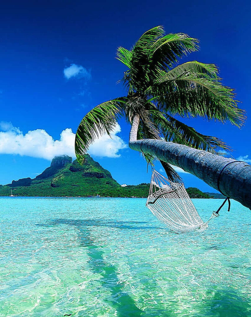 Bora Bora wallpaper with turquoise waters palm tree hammock and lush green mountain under blue sky