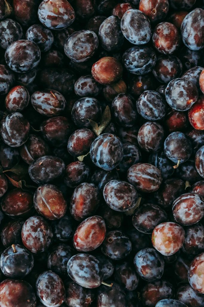 Macro close-up of ripe Italian prune plums with rich purple red hues and natural skin bloom Wallpaper