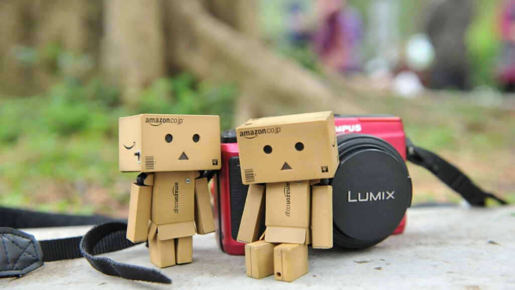 Quirky Friendship Captured: Adorable Box Buddies Resting on Vibrant Camera Wallpaper
