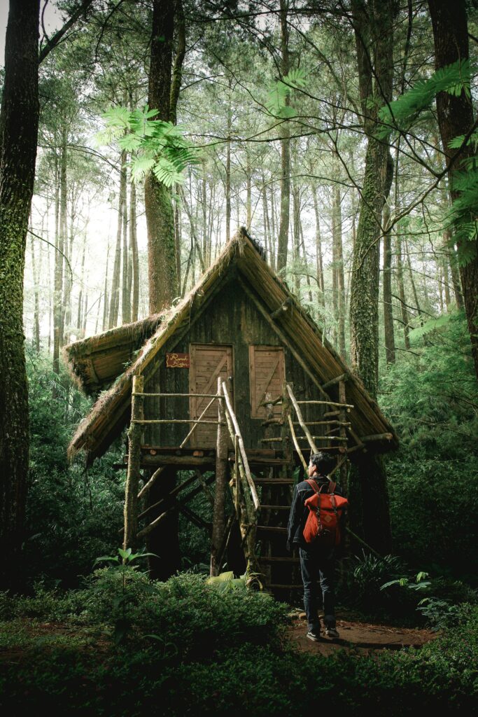 Boy with red backpack stands before rustic wooden treehouse in lush green forest peaceful nature Wallpaper