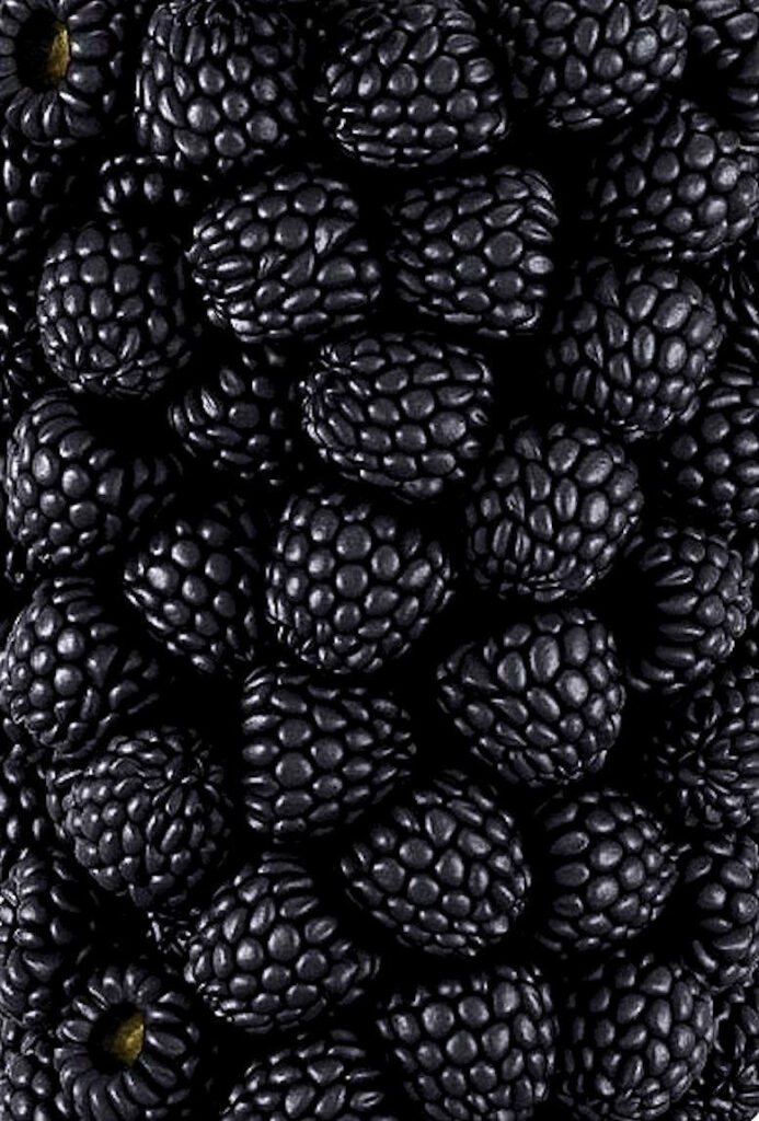 Close-up of vibrant boysenberries with deep purple hues and detailed textured berry cluster wallpaper
