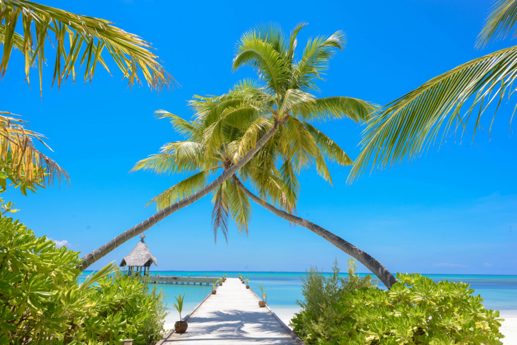 Stunning 4K Tropical Paradise Wallpaper: Coconut Trees & Beach Hut