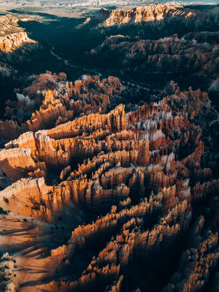Aerial view of dramatic red rock canyon winding through lush forest with rugged textured landscape Wallpaper