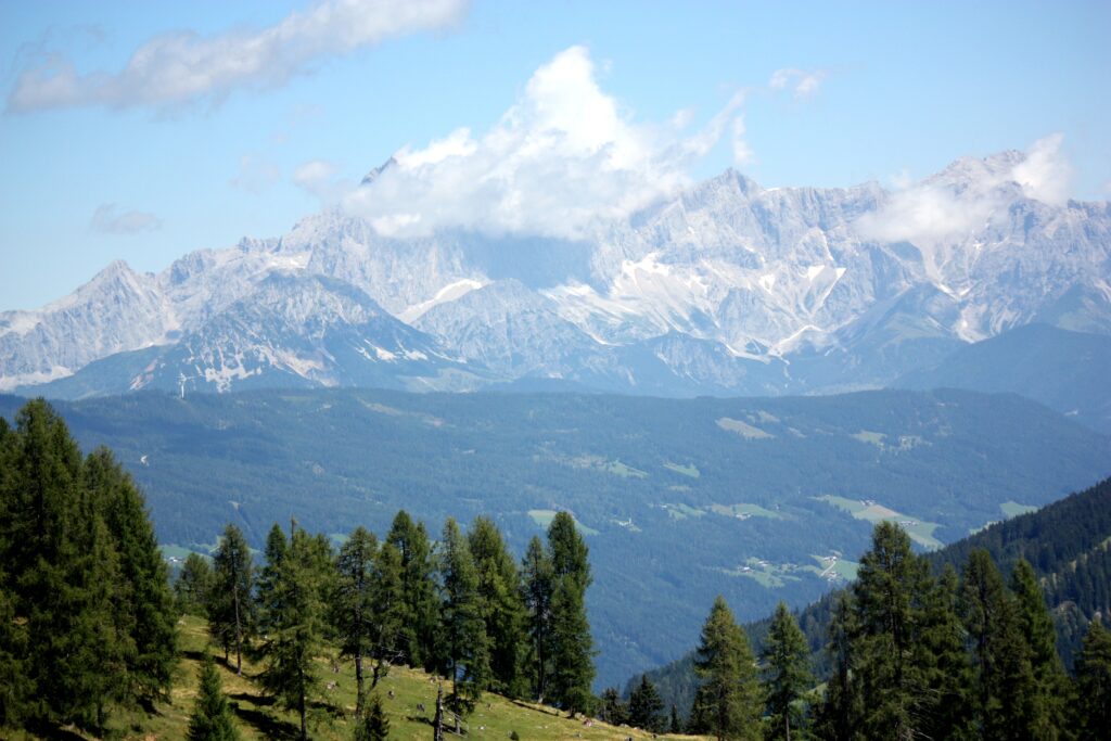 Austrian Alps wallpaper with rugged peaks soft clouds dense green forests and pine trees foreground