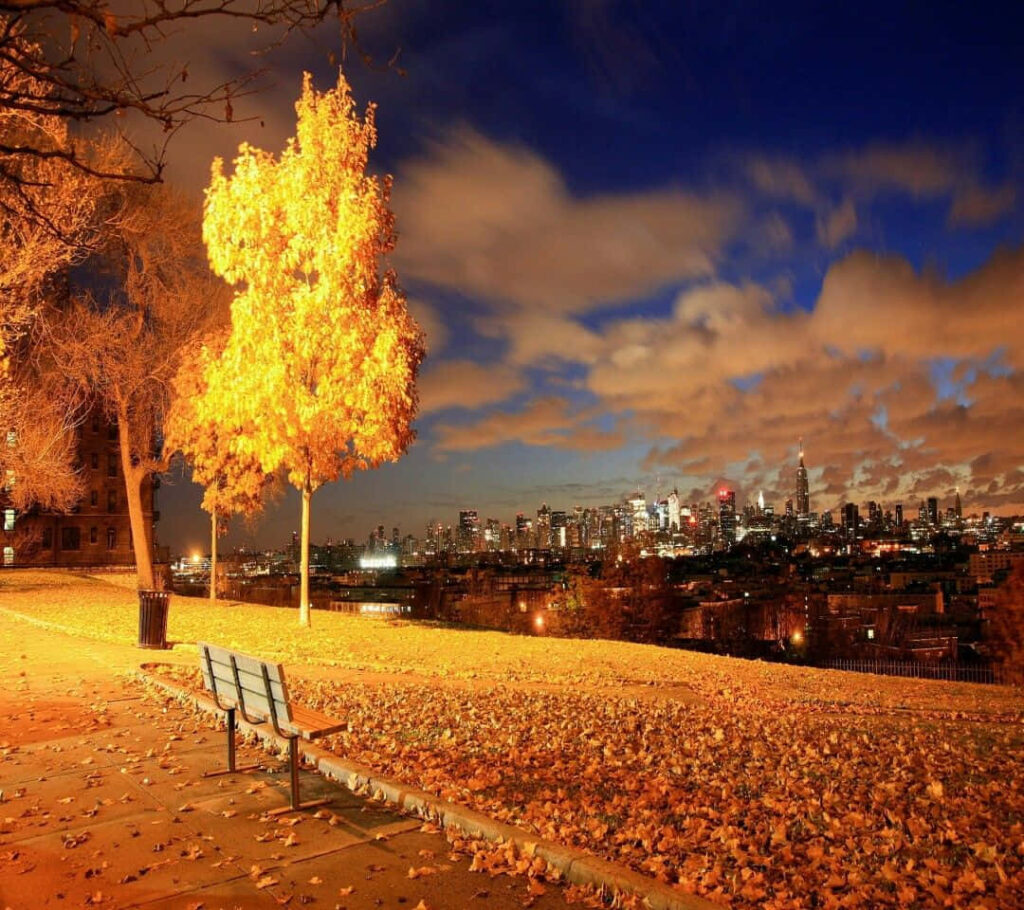 Breathtaking Autumn Cityscape: Glowing Golden Tree Wallpaper