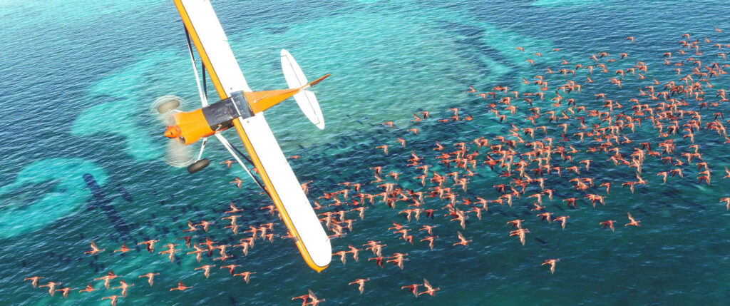 Microsoft Flight Simulator: Uncover breathtaking landscapes, traverse international airports, and soar through vividly realistic skies Wallpaper