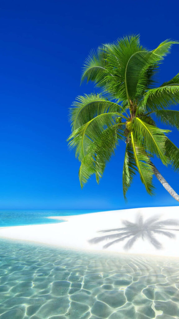 Breathtaking Beach with Turquoise Waters & Pristine White Sand Wallpaper