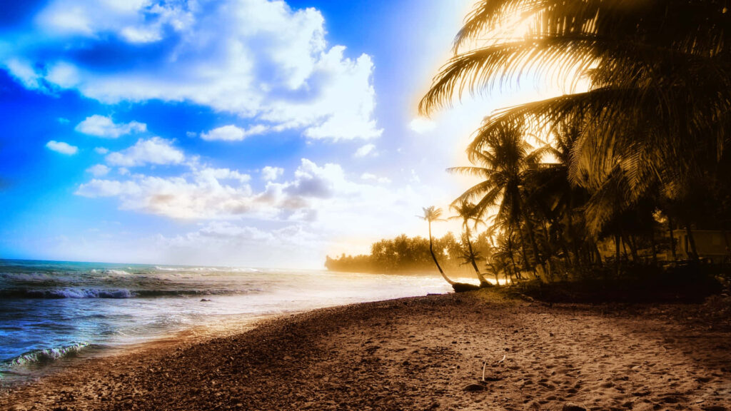 Tranquil Sunset Beach Scene: Blue & Gold Serenity with Palm Trees Wallpaper