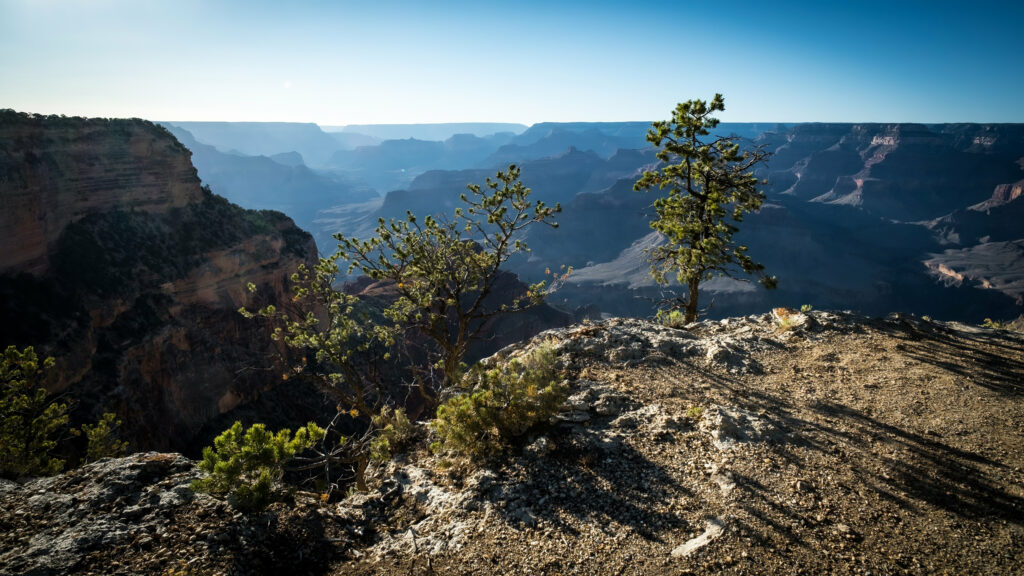 Breathtaking canyon cliffs with distant mountains and trees under deep blue sky wallpaper