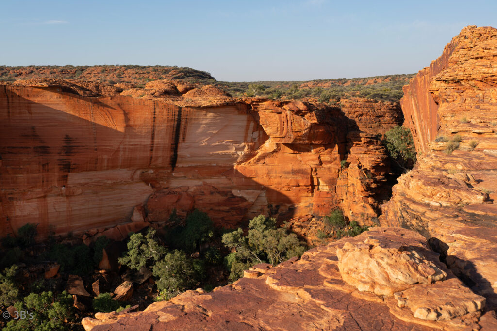 Breathtaking canyon wallpaper with rugged orange rocks vibrant green trees and dramatic cliffs