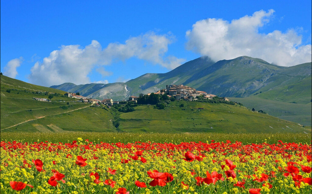 Vibrant Castelluccio Poppy Fields Wallpaper - Nature's Tranquility