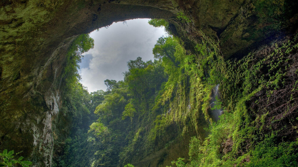 Breathtaking Cave View: Lush Forest & Sunlit Serenity Wallpaper