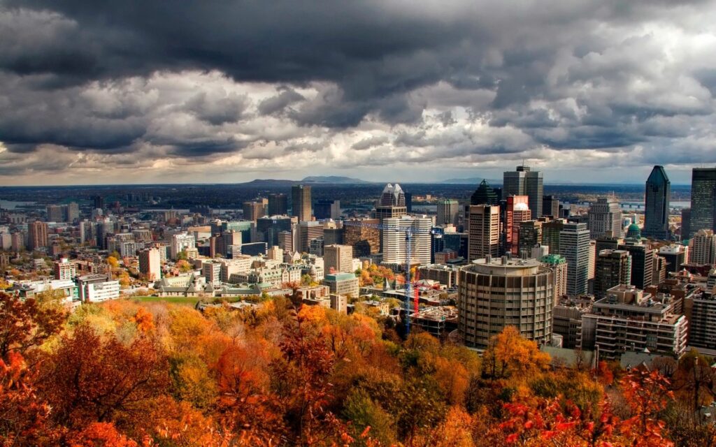 Stunning Cityscape Wallpaper: Autumn Trees & Dark Moody Sky