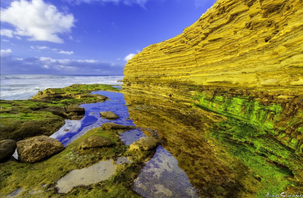 Coastal landscape with rugged sea rocks vibrant green moss and golden cliff under blue sky wallpaper