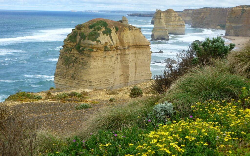 Coastal sea rocks with lush grass and vibrant yellow purple wildflowers vibrant nature wallpaper
