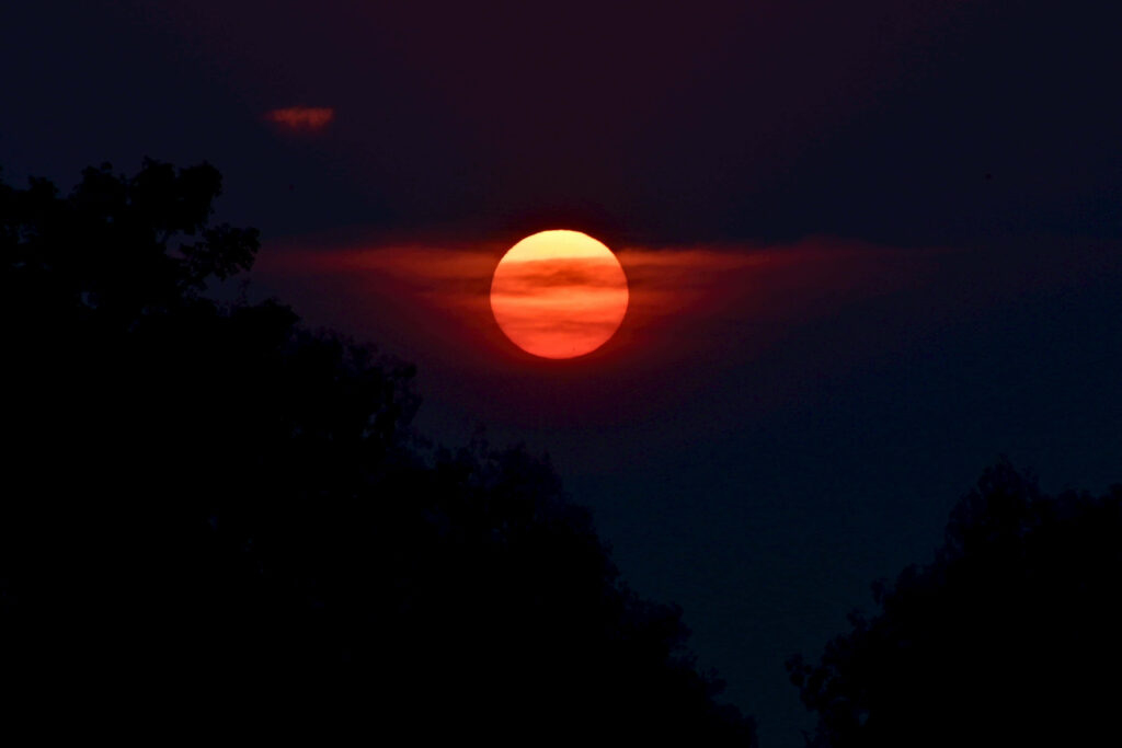 Stunning Crimson Moonrise Wallpaper Background with Tree Silhouettes