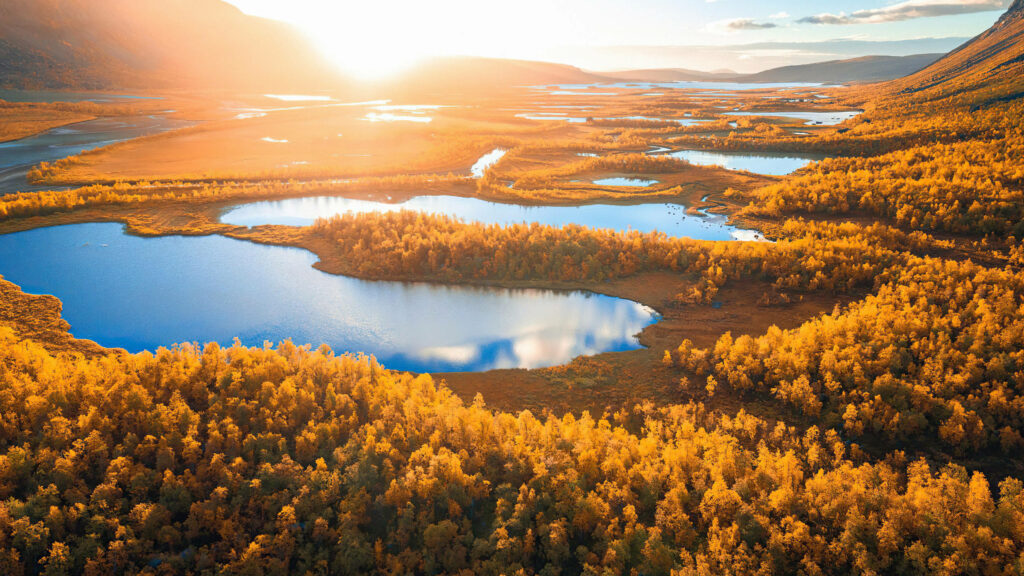 Stunning Fall Landscape Wallpaper: Golden Trees & Serene Lakes