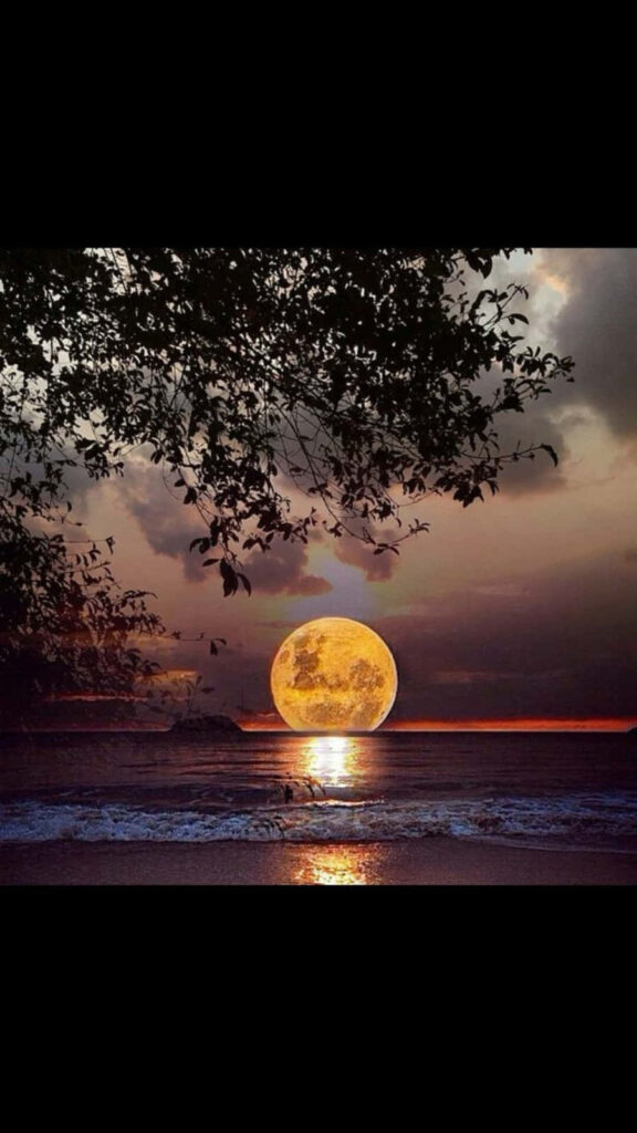 Serene Full Moon Reflection Over Calm Ocean - Wallpaper Background